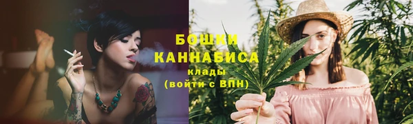 трава Бородино