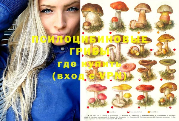 трава Бородино