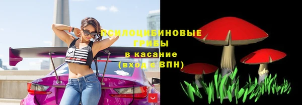 трава Бородино