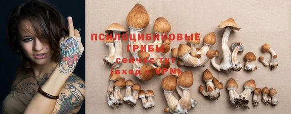 соль курить ск Бугульма